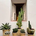 Casa De Solis Hébergement de vacances *