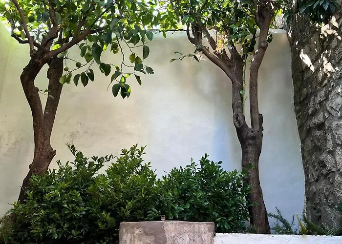 Casa De Solis Trujillo